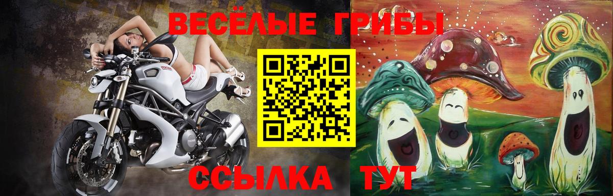 Псилоцибиновые грибы прущие грибы  Вход с VPN  где найти наркотики  Кизляр 