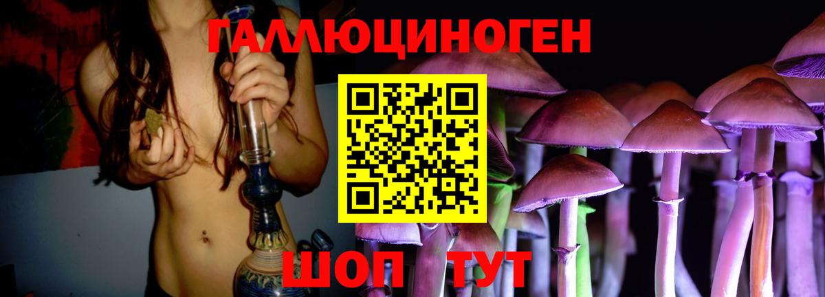 Галлюциногенные грибы Cubensis Кизляр